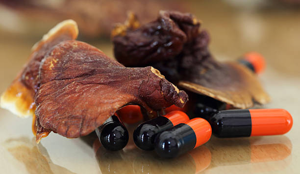 Unleashing the Power of Reishi Mushroom Extract Supplements: A Holistic Approach to Wellness