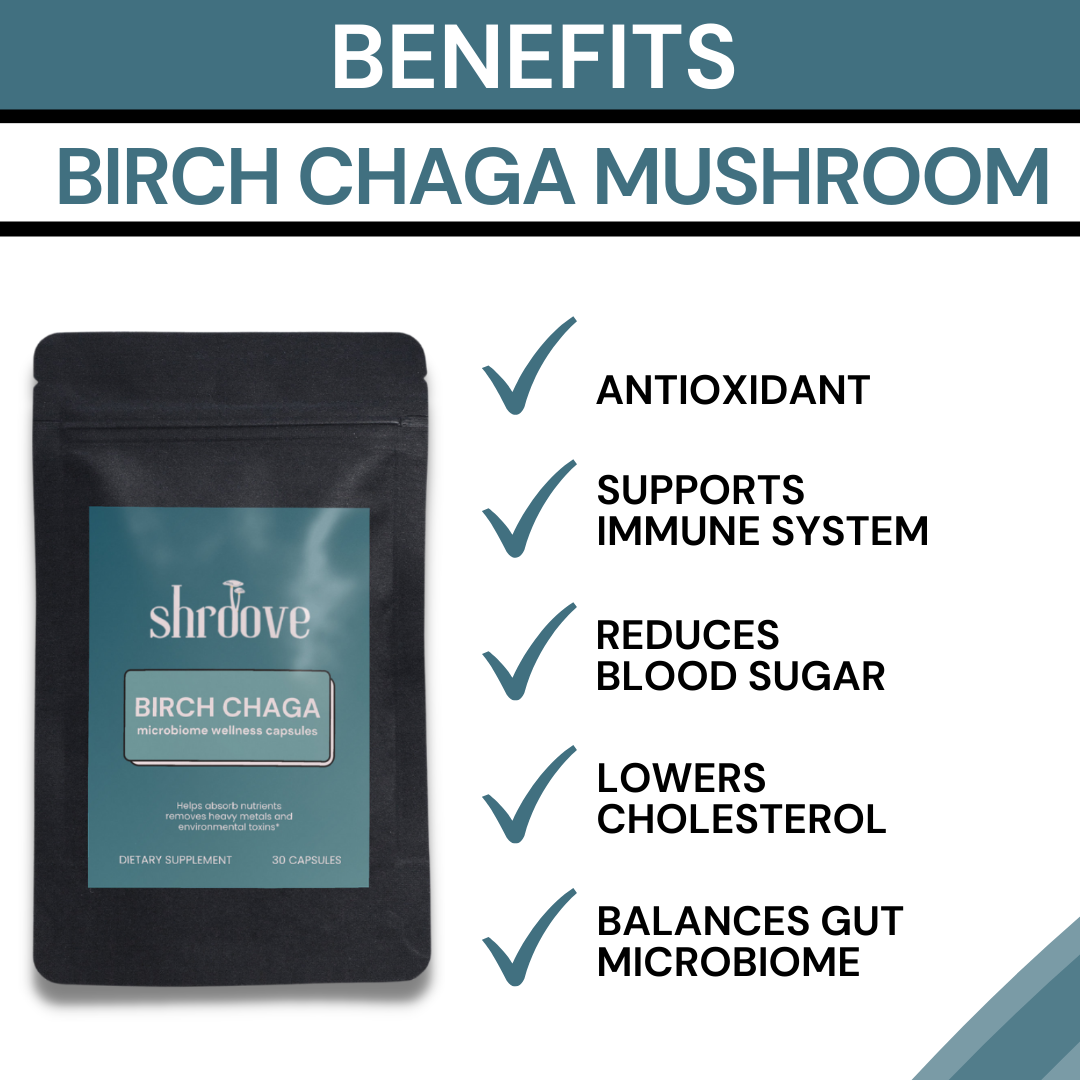 Benefits of Birch Chaga Mushrooms