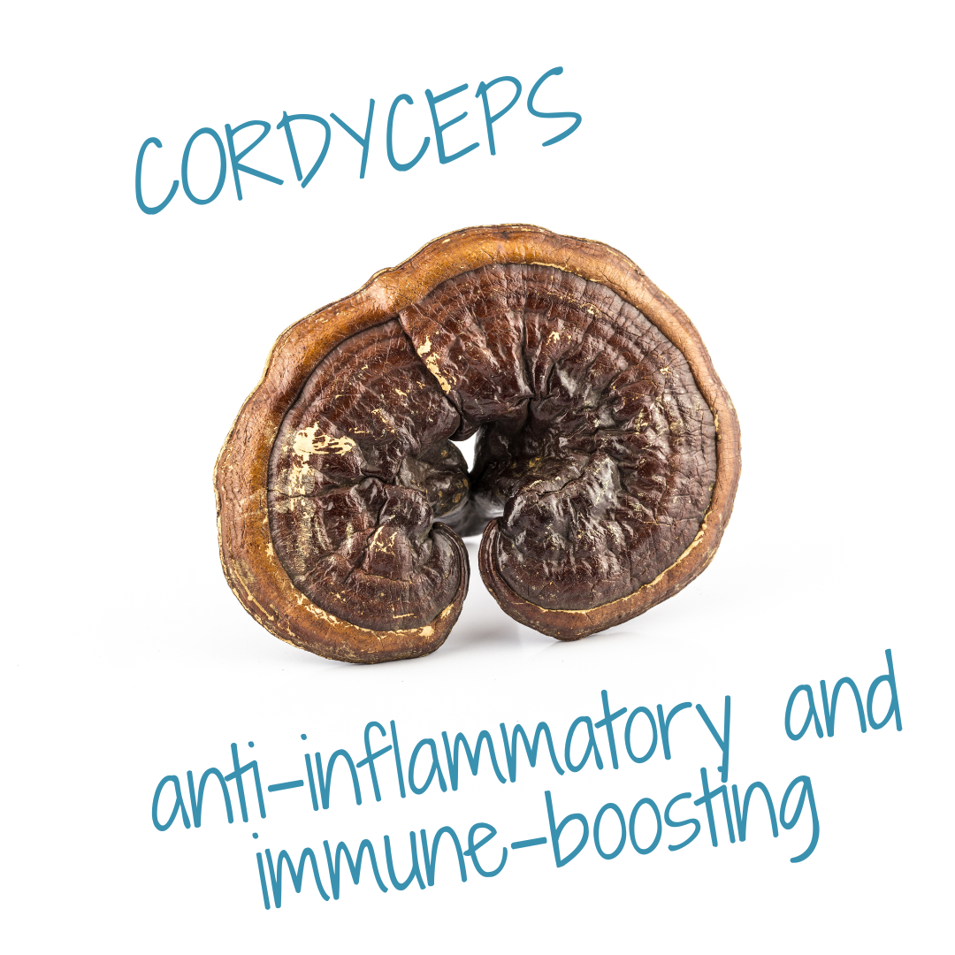 Cordyceps Anti- infammatory Mushrooms